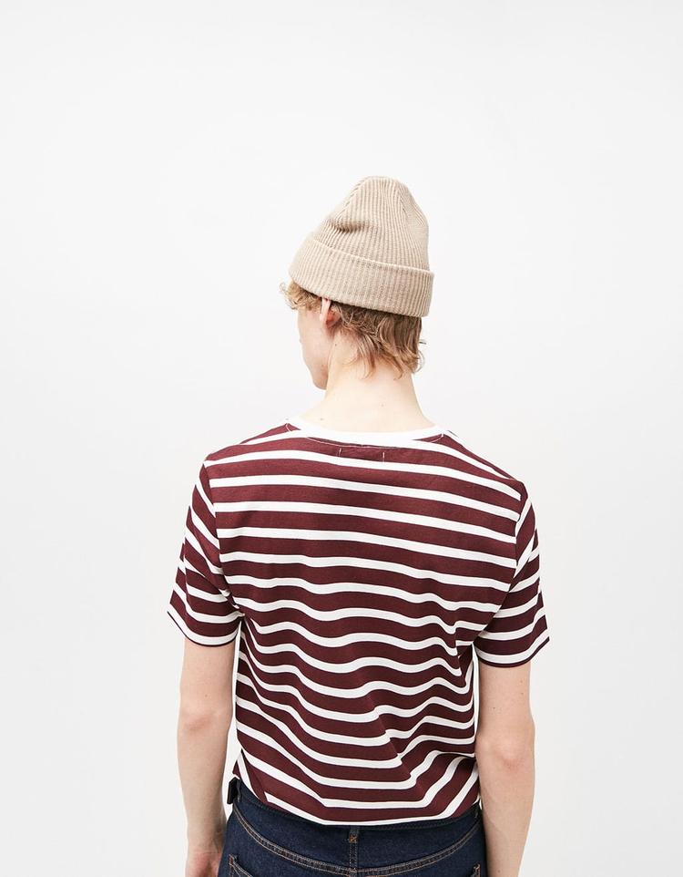 Brown and White Striped T-shirt image